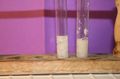 gal/LES_CINQUIEMES/ACTIVITE DIGESTION IN VITRO/Groupe_05/Groupe05_T_00h20min/_thb_Groupe05_T_00h_20min_3.JPG